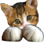 Logo of Cat android Application 